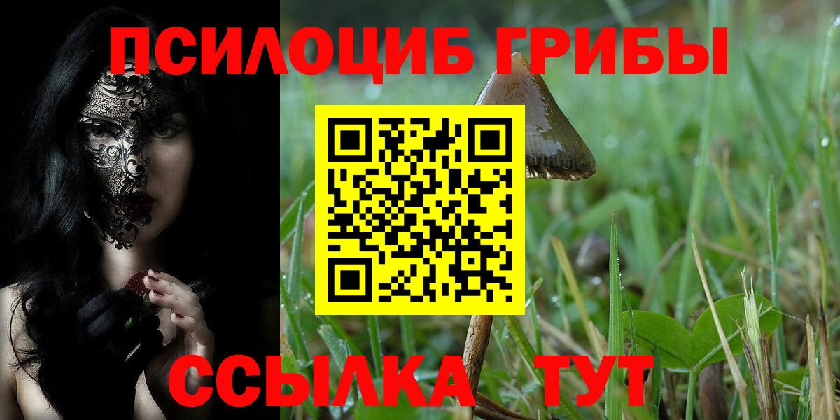 Псилоцибиновые грибы ЛСД  купить наркотик  Лесной  Вход с VPN 