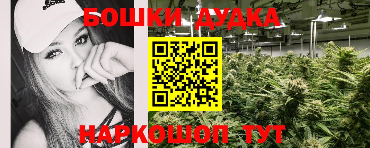 Бошки Шишки планчик  Конопля марихуана  Канабис THC 21%  Каннабис OG Kush  Лесной  Вход с VPN 